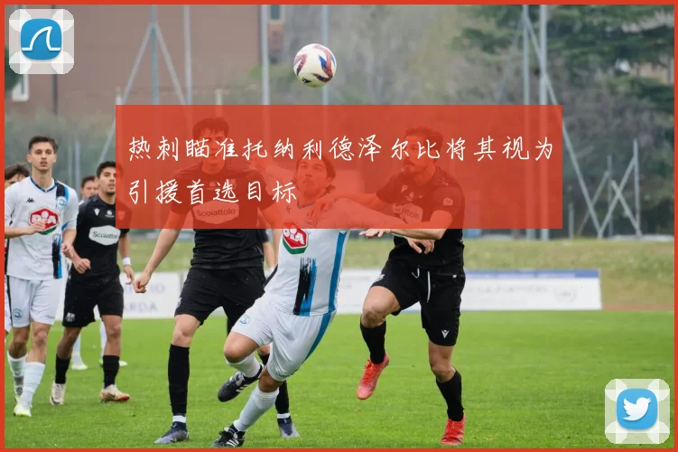 热刺瞄准托纳利德泽尔比将其视为引援首选目标