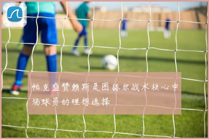 帕克盛赞赖斯是图赫尔战术核心中场球员的理想选择